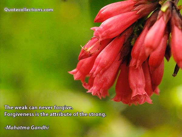 Mahatma Gandhi Quotes3